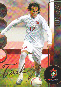 Tuncay Sanli Turkey Panini Euro 2008 Card Collection #192